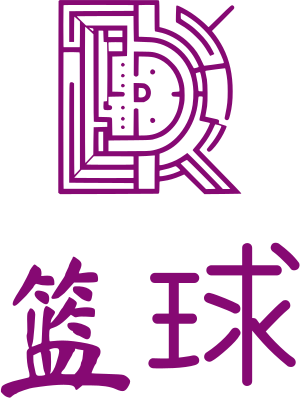 篮球 logo design
