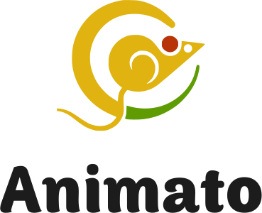 Animato logo design