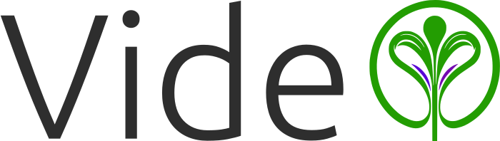 Video logo design