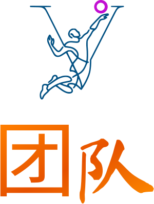 团队 logo design