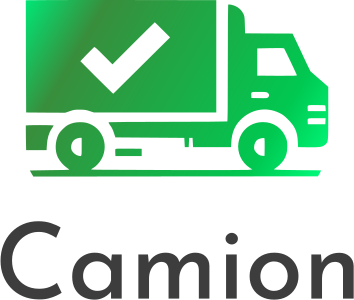 Camion logo design