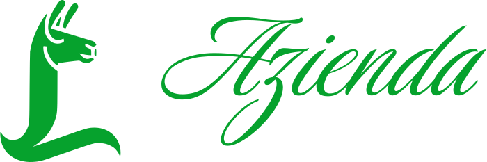 Azienda logo design