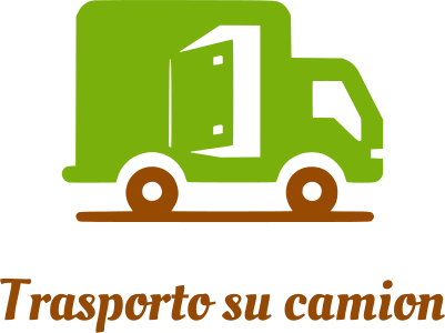 Trasporto su camion logo design