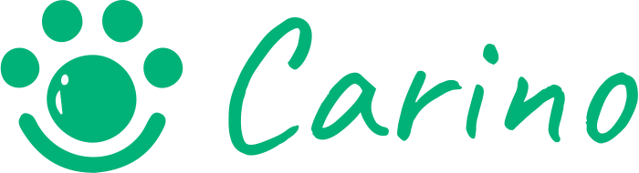 Carino logo design