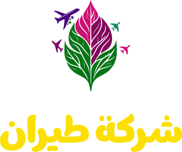 شركة طيران logo design