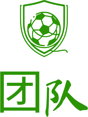 团队 logo design