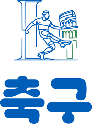 미식축구 로고 디자인