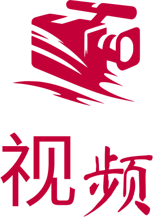 视频 logo design