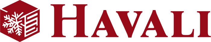 Havalı logo tasarımı