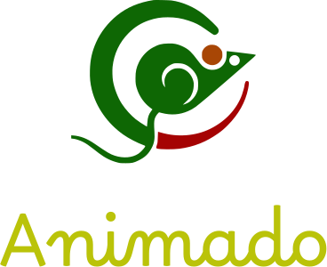 Animado logo design