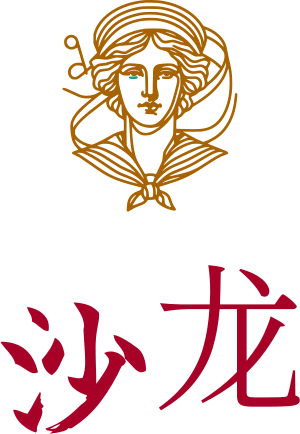 沙龙 logo design