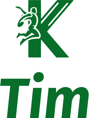 Tim logo design