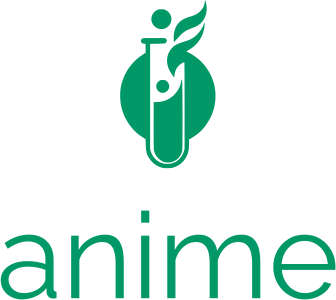 anime logo design