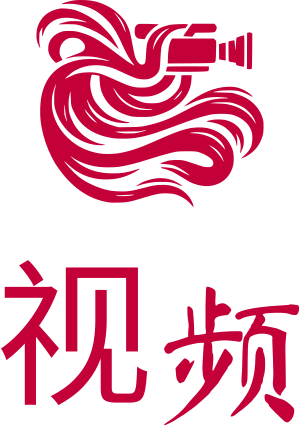 视频 标志设计