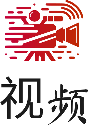 视频 标志设计