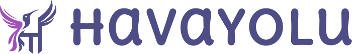 Havayolu logo tasarımı