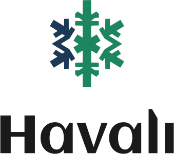 Havalı logo tasarımı