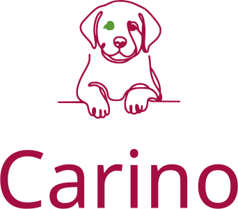 design del logo Carino