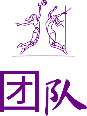 团队 logo design