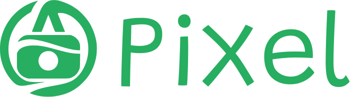 design de logotipo Pixel
