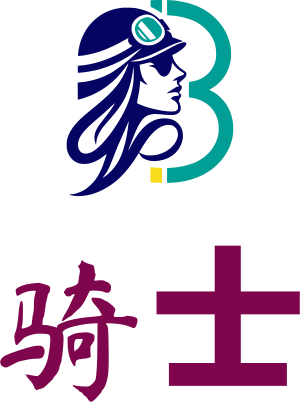 骑士 logo design