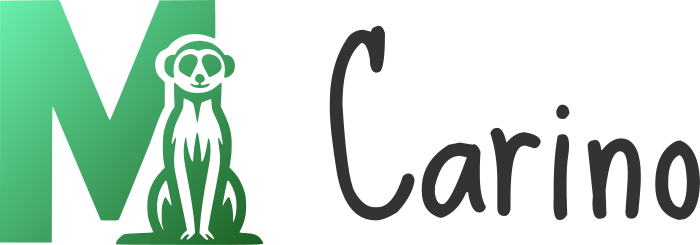 Carino logo design
