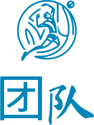 团队 logo design