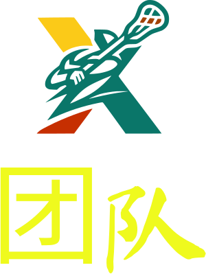 团队 logo design