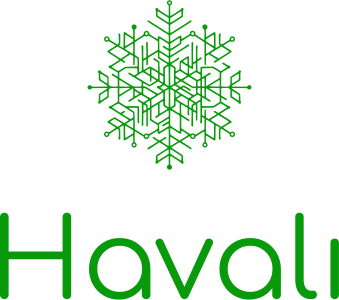 Havalı logo design