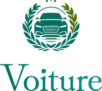 Voiture logo design