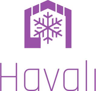 Havalı logo tasarımı