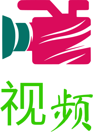 视频 logo design
