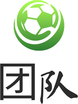 团队 logo design
