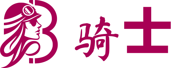 骑士 logo design