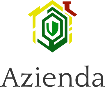 Azienda logo design