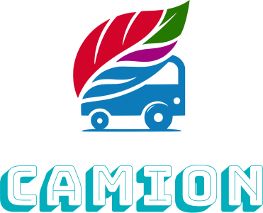 Camion logo design