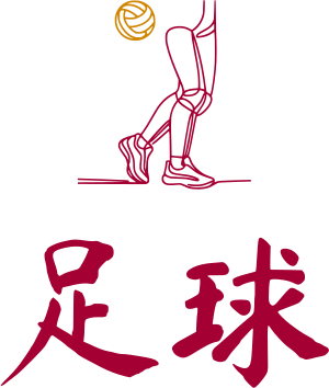 足球 标志设计