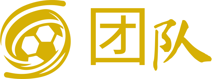 团队 logo design
