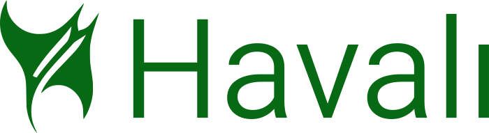 Havalı logo design