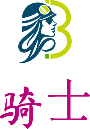 骑士 logo design
