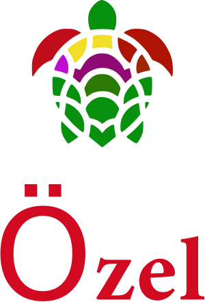 Özel logo design