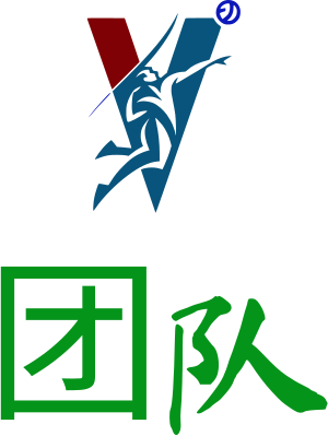 团队 logo design