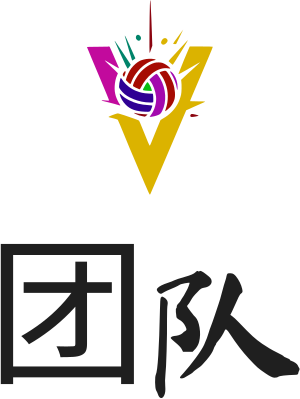 团队 logo design