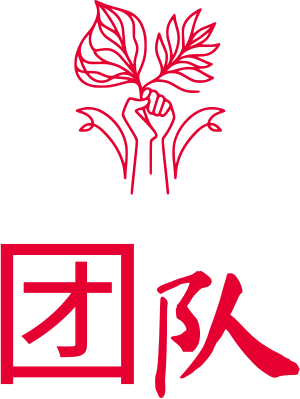 团队 logo design