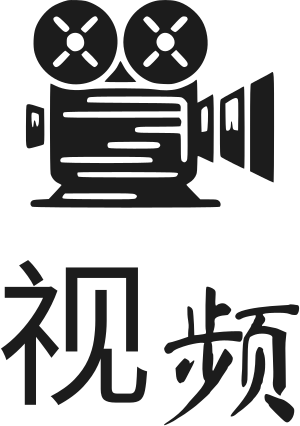 视频 logo design