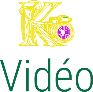 Vidéo logo design