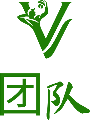 团队 logo design