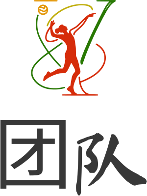 团队 logo design