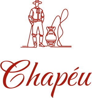 Chapéu logo design