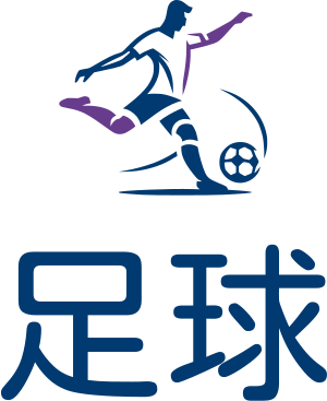 美式足球 标志设计